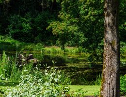 Teich Useldange